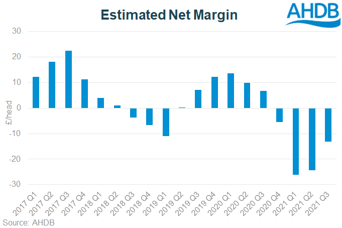 Net margins were negative again in Q3 2021